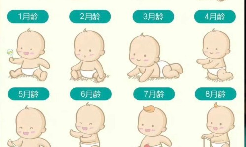 婴儿头皮里有脓的痘痘-婴儿头皮上有粉刺是怎么回事啊网- 婴儿头皮里有脓的痘痘知识,分享婴儿头皮有小疙瘩是怎么回事